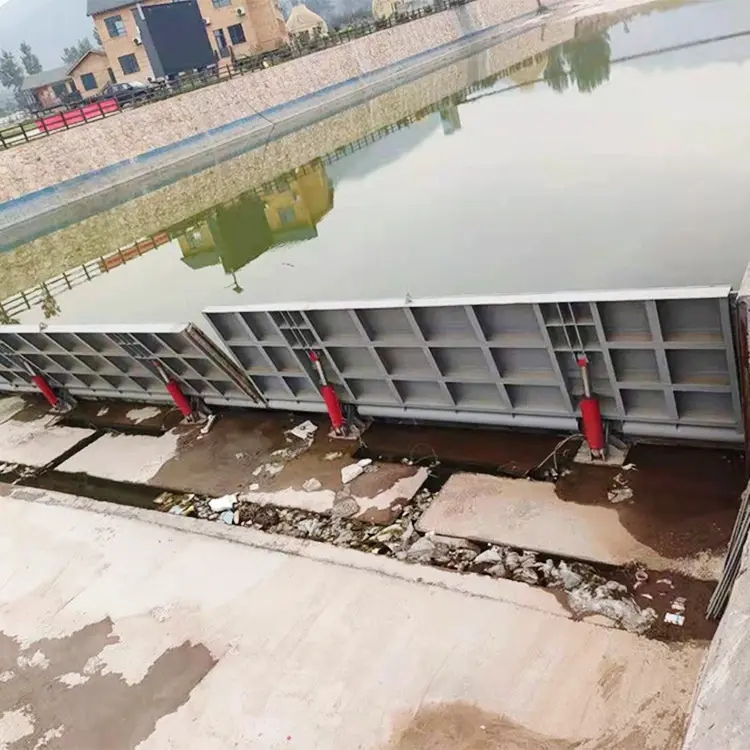 九色91视频鋼壩